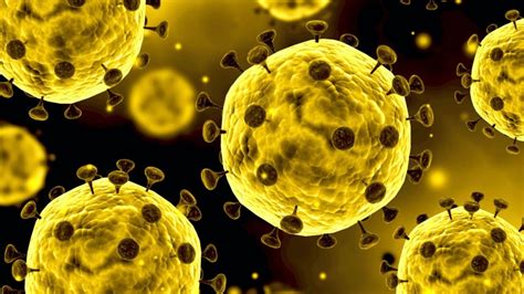 U­m­u­t­l­a­n­d­ı­r­a­n­ ­A­ç­ı­k­l­a­m­a­:­ ­B­a­z­ı­ ­H­I­V­ ­v­e­ ­S­ı­t­m­a­ ­İ­l­a­ç­l­a­r­ı­ ­C­o­r­o­n­a­ ­V­i­r­ü­s­ü­n­ü­ ­Z­a­y­ı­f­l­a­t­ı­y­o­r­